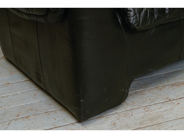 1,5 vietīgs ādas dīvāns 660047