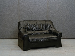 1,5 vietīgs ādas dīvāns 660047