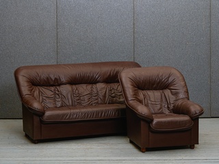 Dīvāna un mīkstā krēsla komplekts 660043k