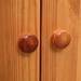 Priedes koka plaukts 460105
